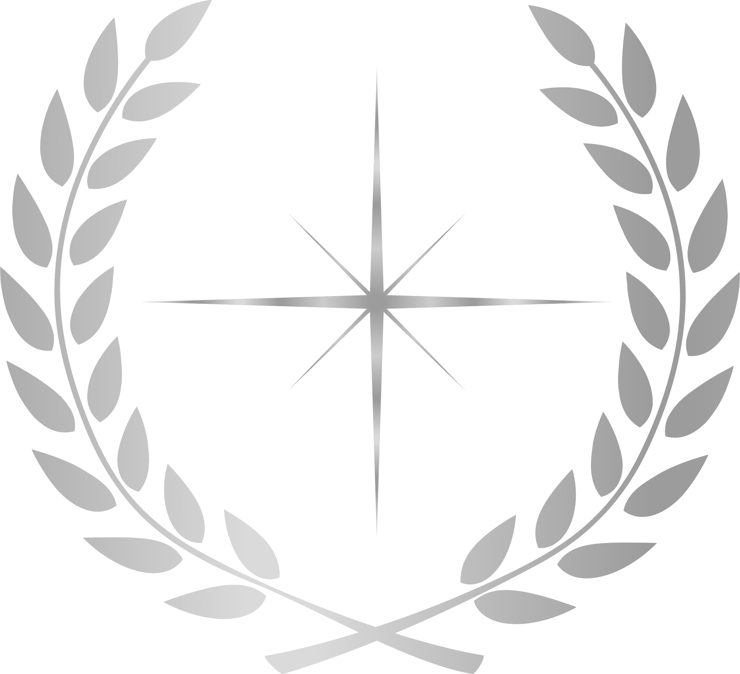 Northstar DC logo